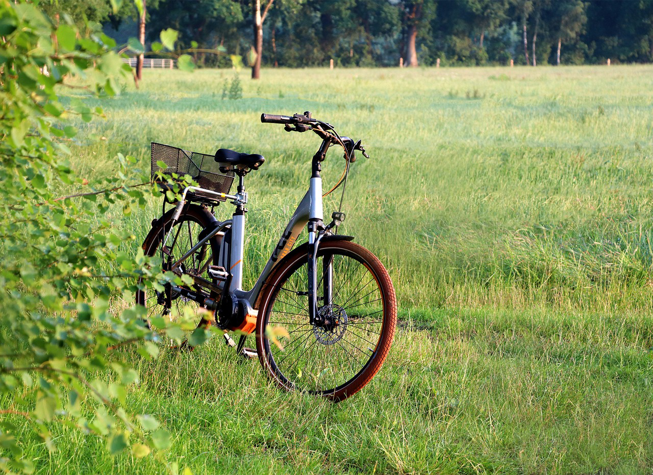 E-Bike / Electric Bike